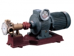 Flexible impeller pump